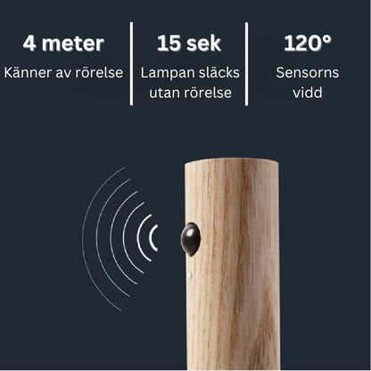 Lampa USB laddbar med rörelsesensor