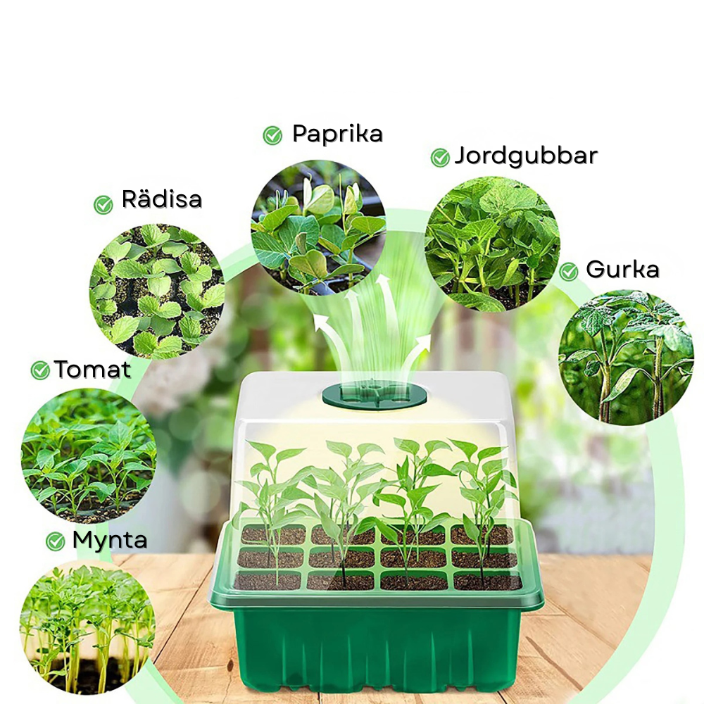 Mini Växthus med LED-belysning & Reglerbar Luftventil för Frön & Plantor